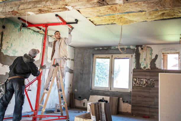 Best Residential Insulation in Park Rapids, MN