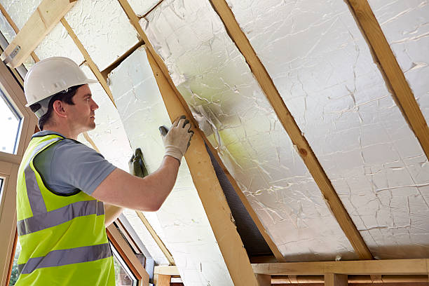 Best Insulation Maintenance and Repair in Park Rapids, MN