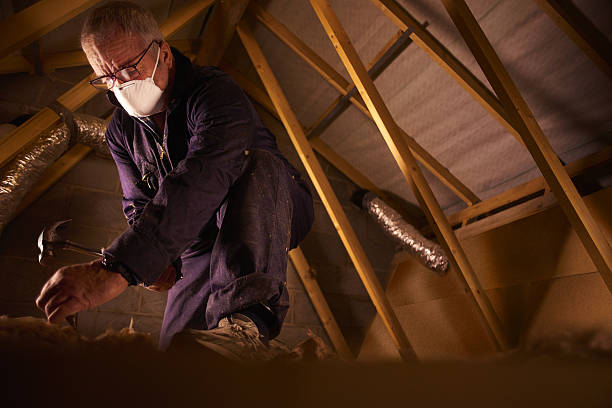 Best Eco-Friendly Insulation in Park Rapids, MN